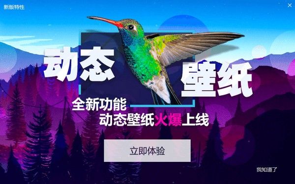 小鸟壁纸最新版本最新版