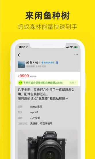 闲鱼破解版
